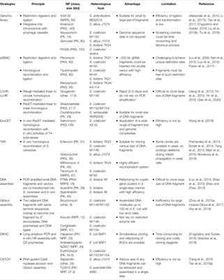 Streptomyces as Microbial Chassis for Heterologous Protein Expression